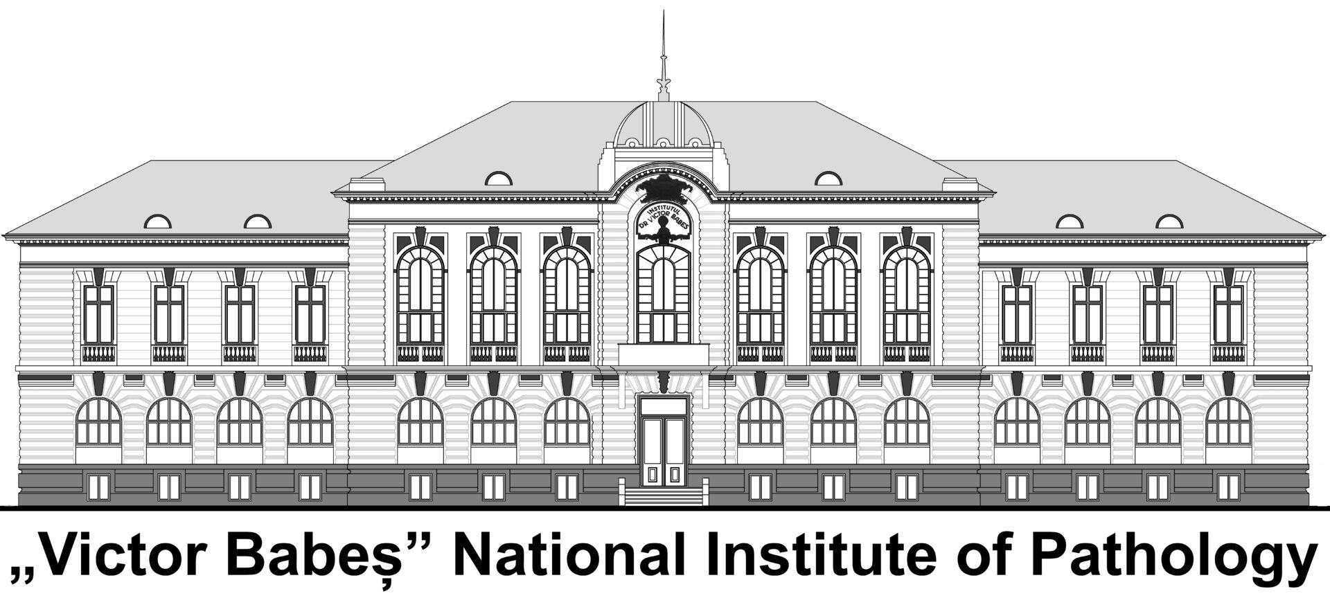 VBabesInstitute