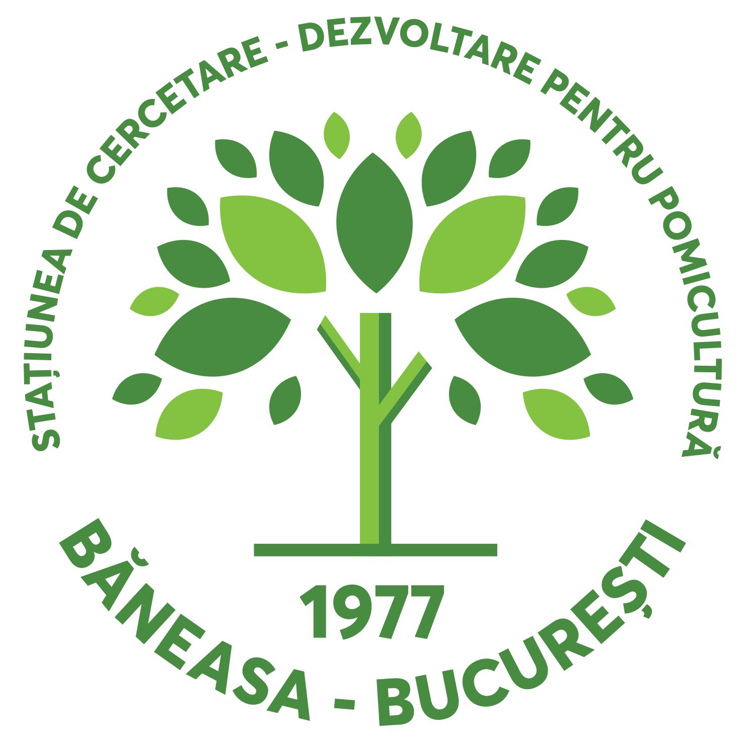 Logo-SCDP-Baneasa-nou-2024-05-29-at-15.50.26